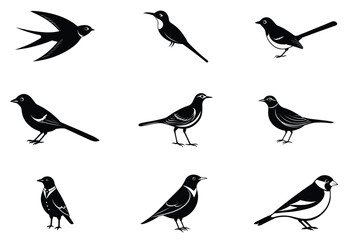 set of birds