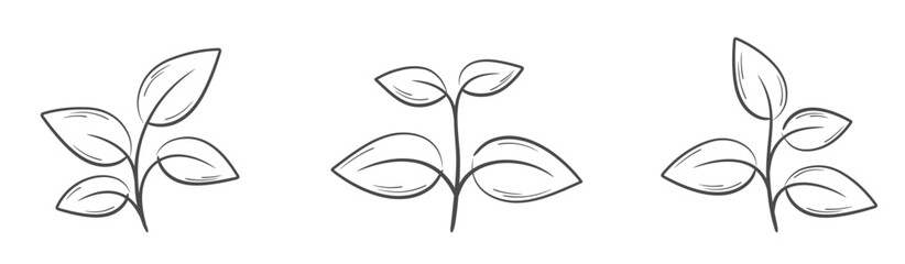 Plant with four leaves line illustrations. Nature, gardening and planting design elements. Isolated vector images