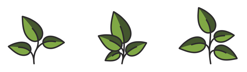 Plants with leaves in green colors. Nature, botany and planting design elements. Isolated vector images