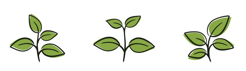 Plant with four leaves illustrations. Nature, gardening and botany design elements. Isolated vector images