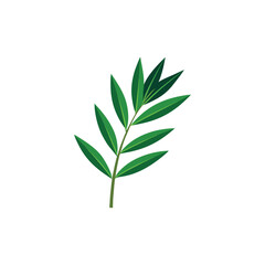 Fototapeta premium Bamboo Leaf Vector Illustration on White Background