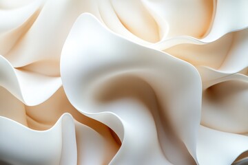 White Flower Close Up
