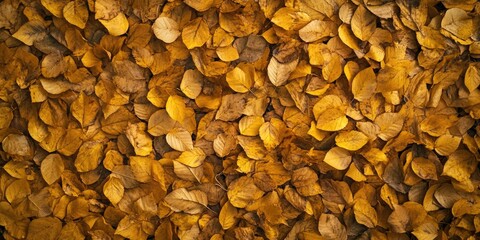 Close-up of leaf cluster