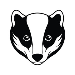 head of a baby european badger face © taslima