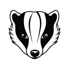 baby european badger face © taslima