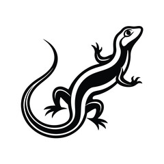 black and white lizard