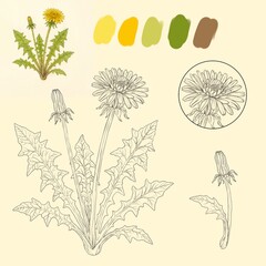 set of flowers