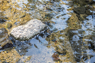 A stone by the river
