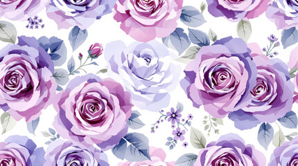 Purple roses background watercolor