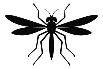 detailed black and white illustration of a mosquito, intricate scientific anatomy, highly detailed, photorealistic
