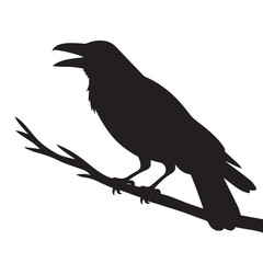 Bird vector