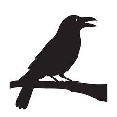Bird vector