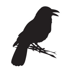 Bird vector