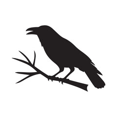 Bird vector