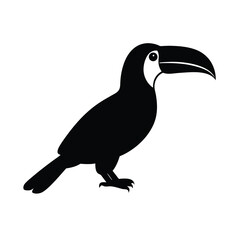 keel billed toucan black