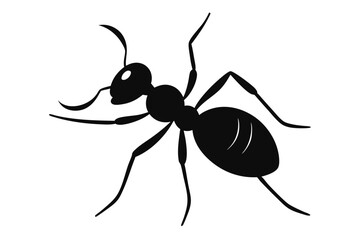 ant, black and white, silhouette, minimalist, vector illustration
