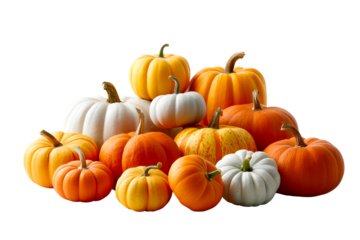 Variety of pumpkins displayed on a transparent background