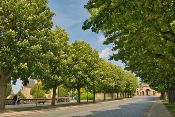 Stadtpark Fulda in Hessen