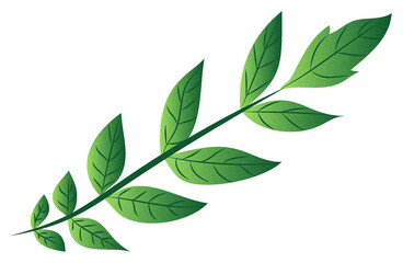 green leaves isolated on white background