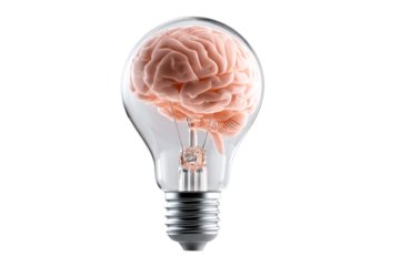 Bright idea represented by a brain inside a light bulb