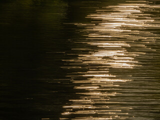 Golden light reflections on moving water, captured with a long exposure. Abstract shimmering...