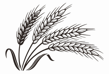 Black and White Wheat Stalks Illustration