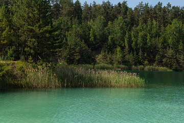 turquoise water lake surrounded by pine trees, view into the distance.It's a beautiful summer day.background, a place to copy