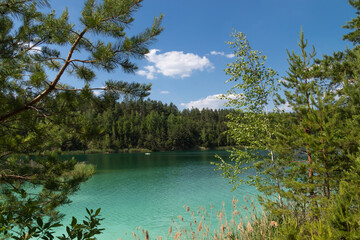 Beautiful summer landscape - a lake surrounded by green trees against a blue sky