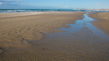 plage sur la côte d'Opale au bord de la Manche dans le Nord Pas de calais en été en France