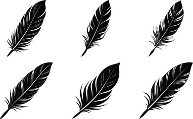 set of feathers vector