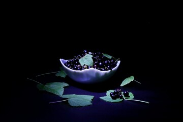 Blackcurrant fruits in a white bowl on a black background.