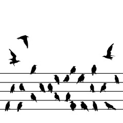 Silhouette of a group of birds sitting on wires on a white background.eps