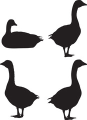 Flying goose farm animal black vector illustration © RR Design