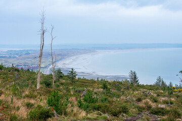 Mourne Mountains in Newcastle, Northern Ireland. View on Mountain, Forest and Irish Sea from above