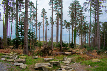 Mourne Mountains in Newcastle, Northern Ireland. View on Mountain, Forest and Irish Sea from above