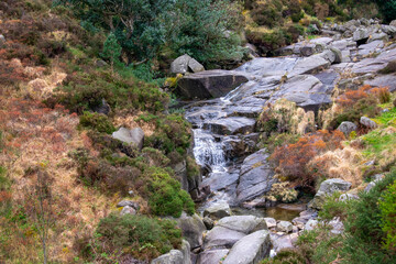 Mourne Mountains in Newcastle, Northern Ireland. View on Mountain, Forest and Irish Sea from above