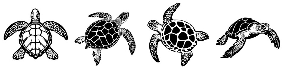 Fototapeta premium Icon set of four distinct turtle designs showcasing various styles and postures in classic black and white