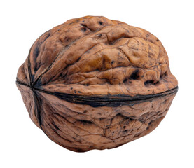 Fototapeta premium Harvesting nutrients whole walnut kitchen table food natural light isolated on transparent background