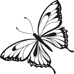 Elegant black and white butterfly illustration