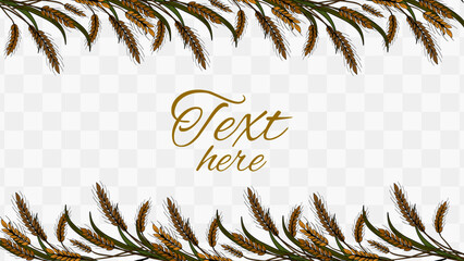 Organic wheat golden plant decoration frame with transparent background. Grains rye cereals rural farming © Oksana