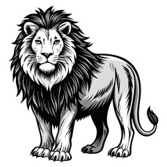 Fototapeta premium Sketch African lion black and white illustration. Lion drawn sketch in doodle style on a white background. Illustrated in vintage hand-drawn style.