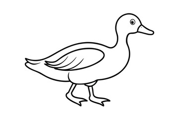 Cute cartoon duck outline simple line drawing illustration