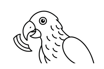 Line art illustration of a parrot head and shoulder