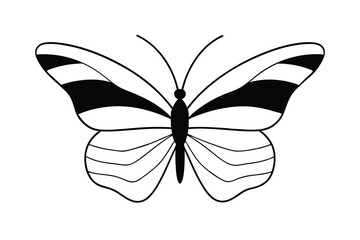 Elegant black and white butterfly illustration design