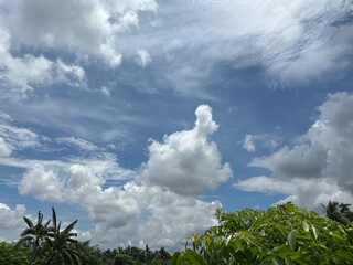 Fluffy Clouds Over a Lush Green Landscape