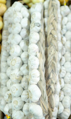 White garlic bulbs packed in mesh bags at market stand