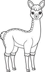 Fototapeta premium a cute llama with a necklace standing alone