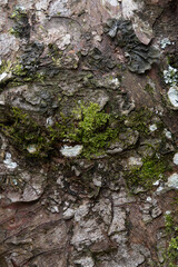 Natural stone granite wall-floor. Seamless texture. Perfect tiled on all sides. Stone. Rock floor. Rock wall.