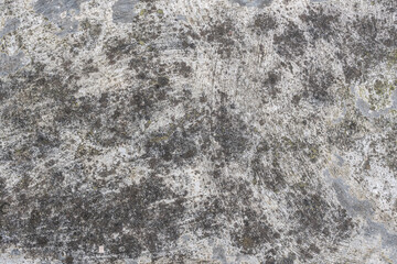 Grey cement background. Wall texture. Attractive modern raw and uneven concrete wall surface.