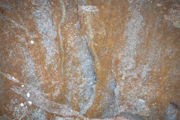 Grey cement background. Wall texture. Attractive modern raw and uneven concrete wall surface.